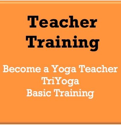 Teacher Training